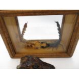 Taxidermy small crocodile head and two fighting scorpions boxed