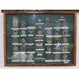 Montage of WWII German badges in wooden case for wall mounting