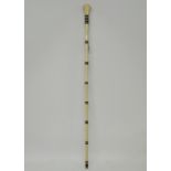 Ivory and horn walking stick - very early