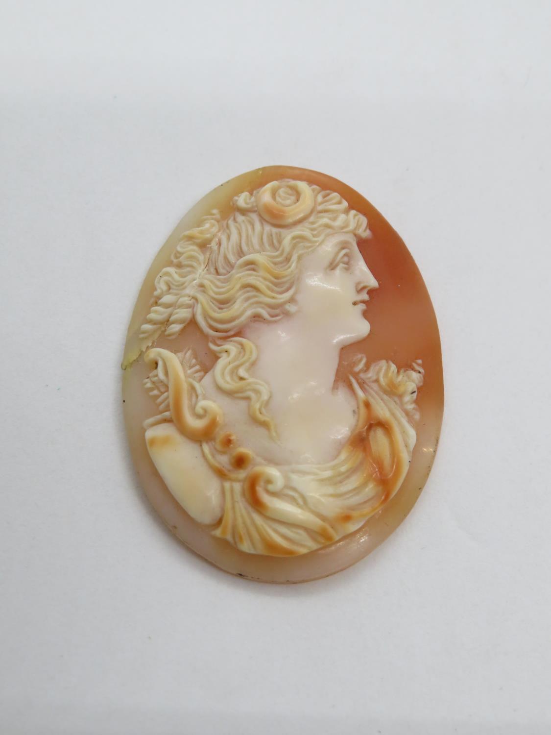 Victorian carved shell cameo depicting Diana Goddess of wild animals