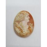 Victorian carved shell cameo depicting Diana Goddess of wild animals
