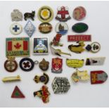 Bag of 30x badges - some rare