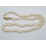 16" rope of 5.5mm cultured pearls with 9ct gold clasp