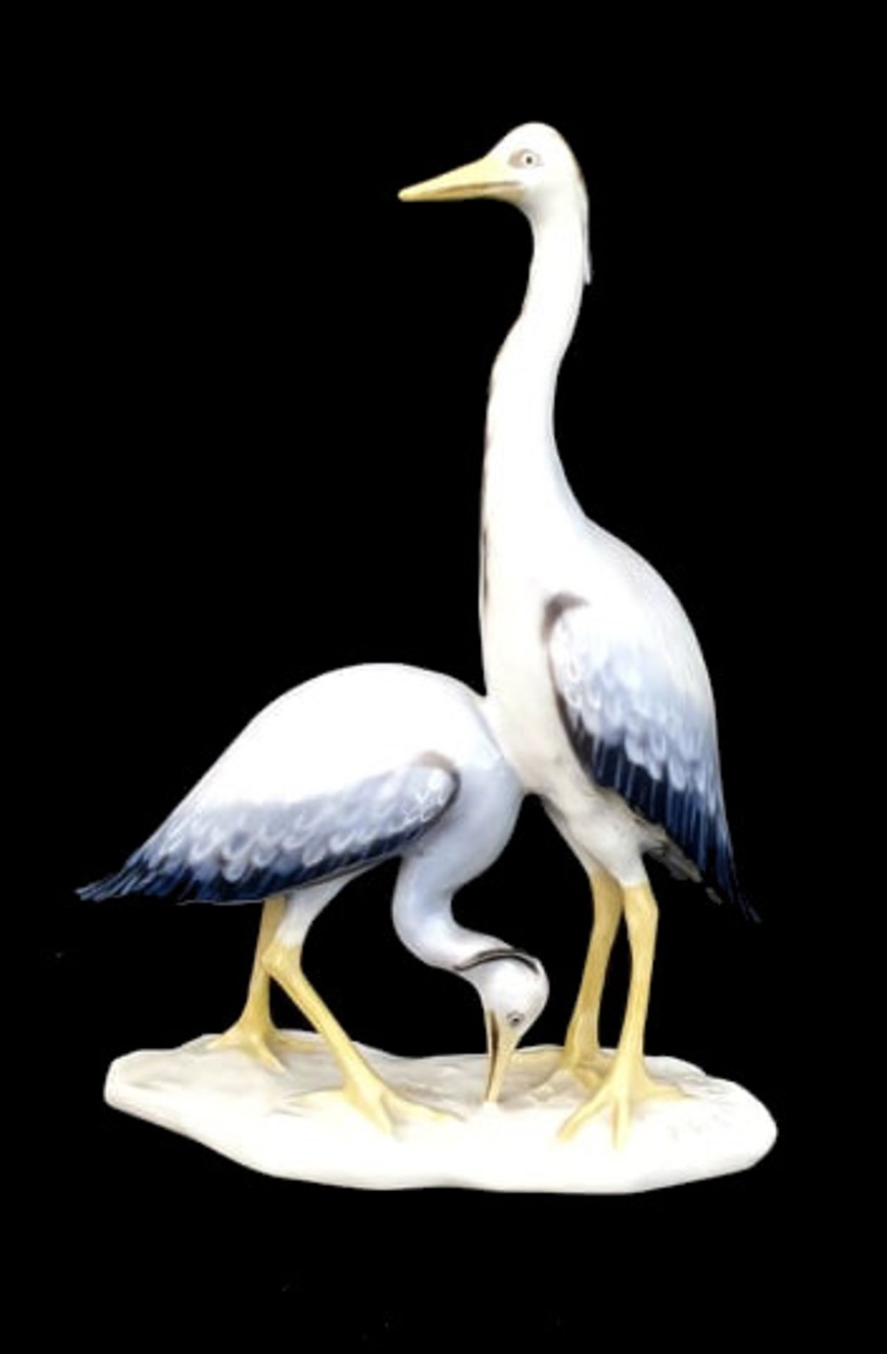 Rosenthal | Heron | F. Heidenreich