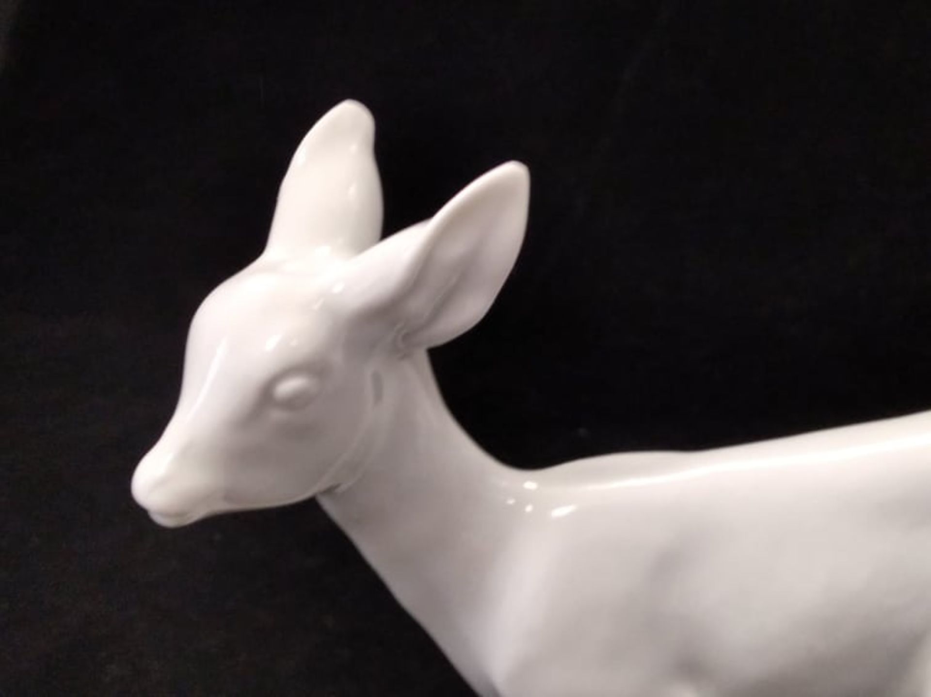 Fawn | Meissen