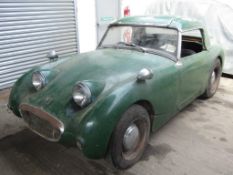 1959 Austin Healey Frogeye Sprite Mk I