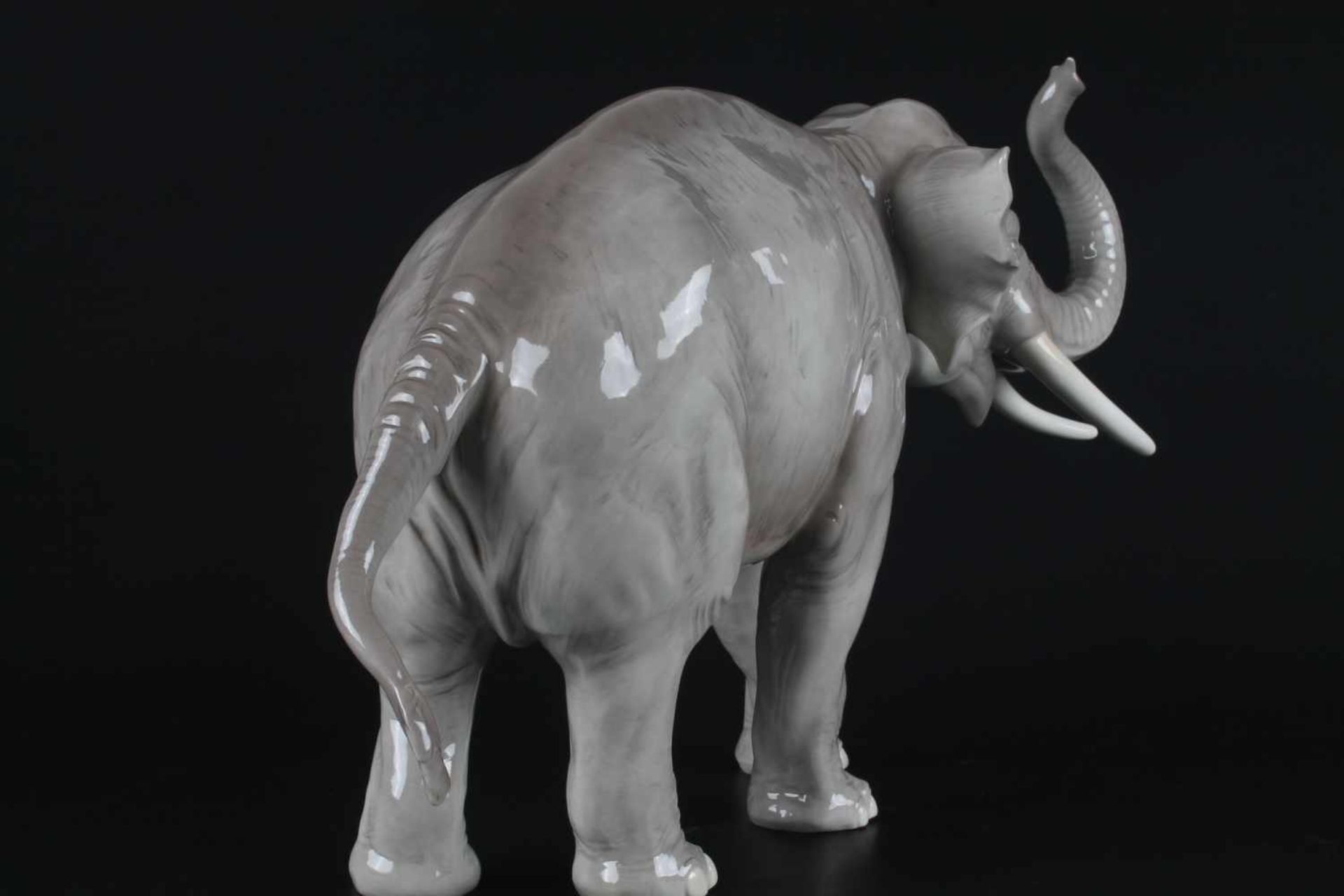 Nymphenburg Elefant August Göhring (1891-1965), porcelain elephant,Porzellan, naturalistisch - Image 4 of 6