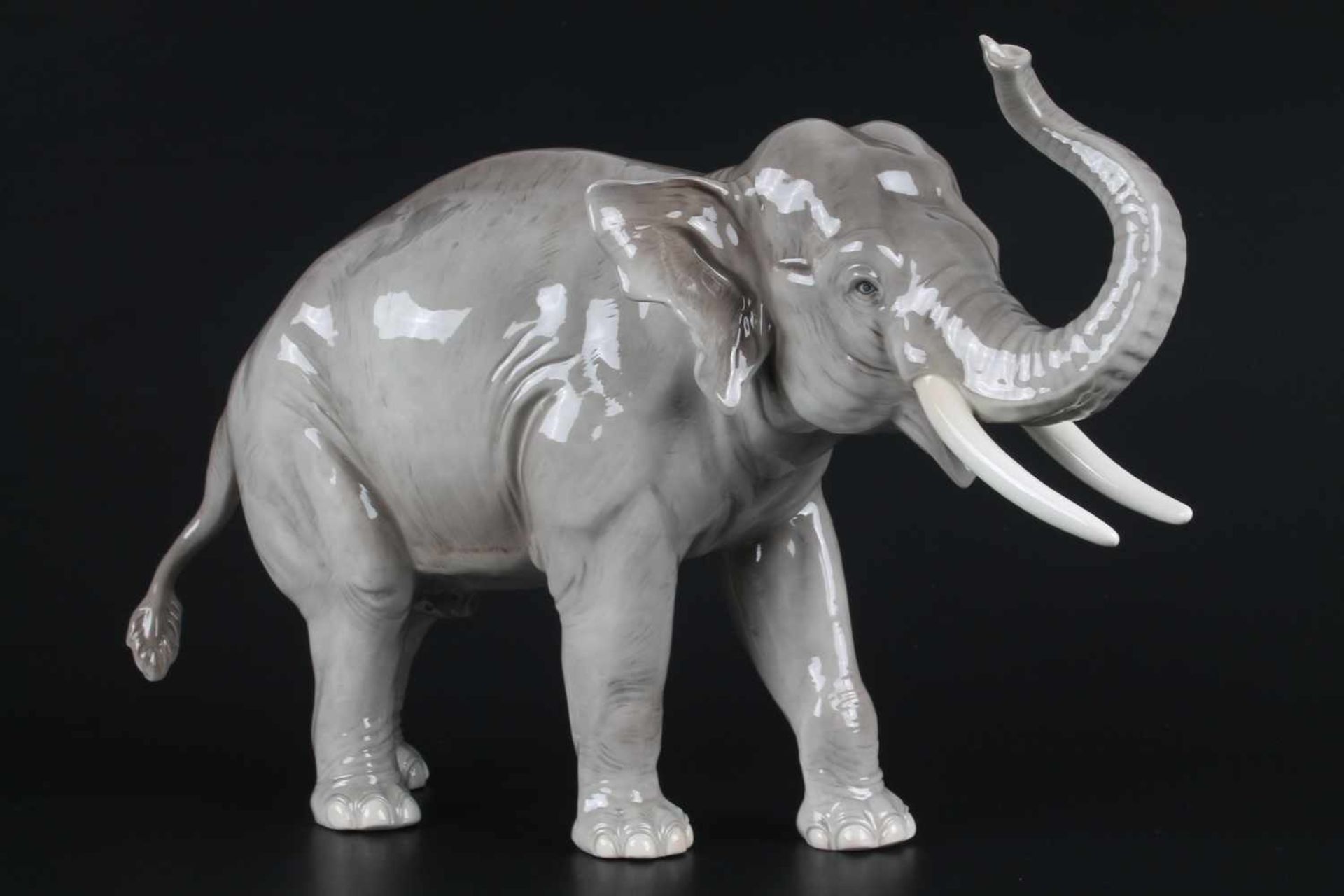 Nymphenburg Elefant August Göhring (1891-1965), porcelain elephant,Porzellan, naturalistisch