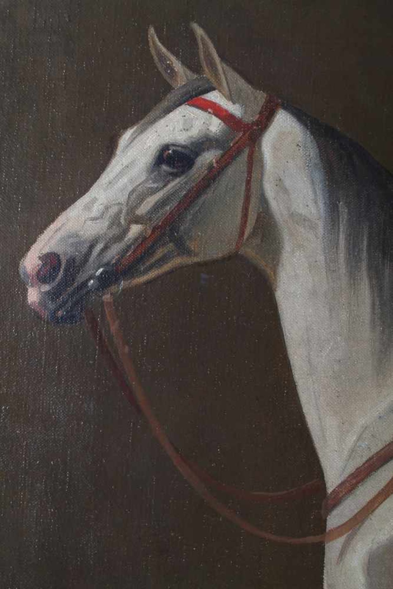 Emil Volkers (1831-1905), Gesattelter Schimmel im Stall 1903, saddled white horse in the stable - Image 4 of 5