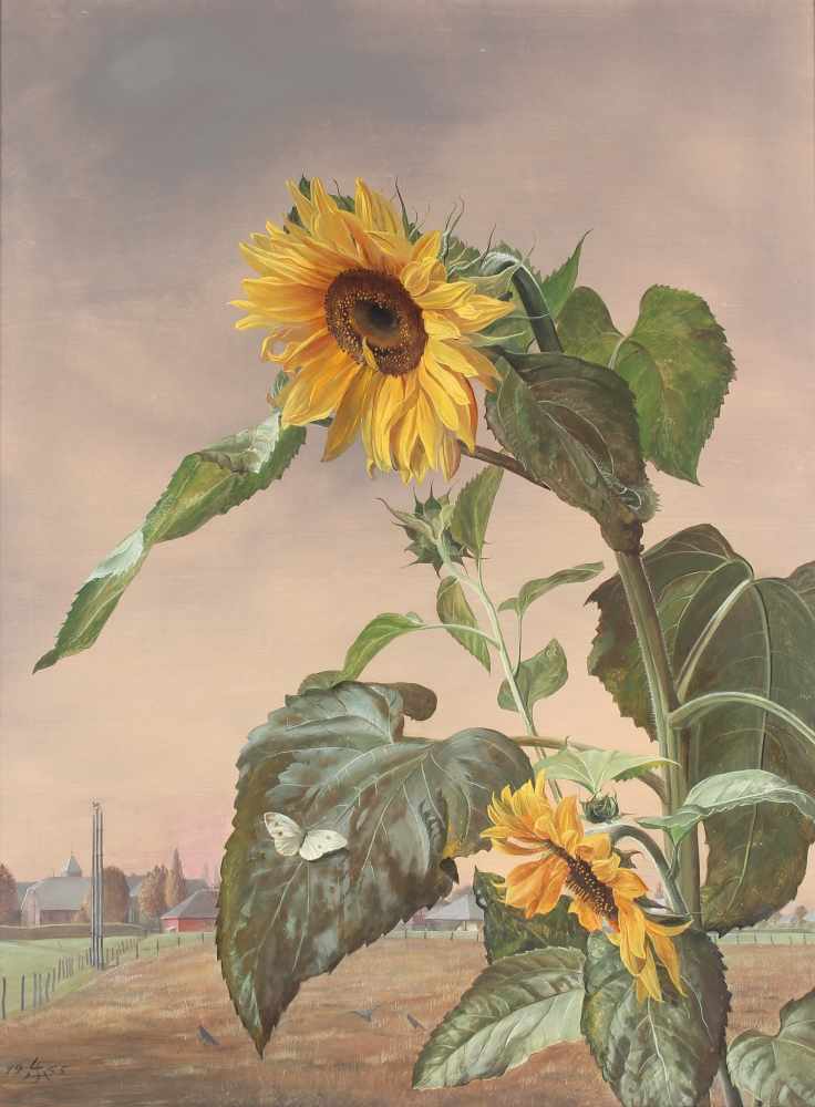 Liselotte Schramm-Heckmann (1904-1995) Sonnenblume mit Kohlweissling 1955, sunflower with cabbage