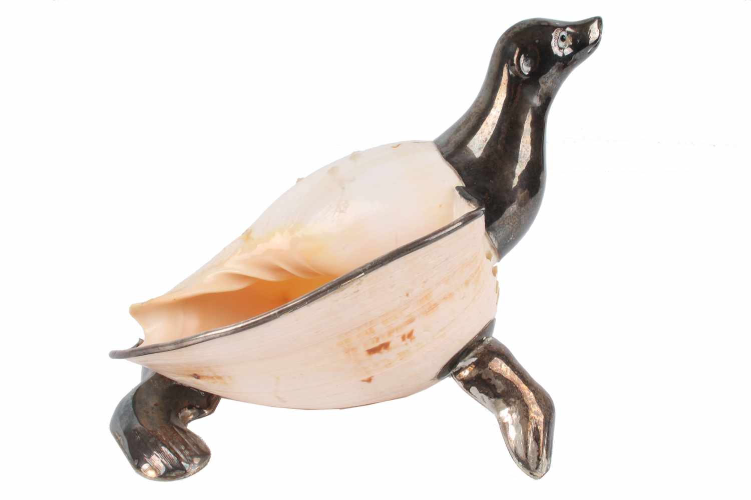 Gabriella Binazzi - Robbe mit Muschelschale, seal with clamshell,