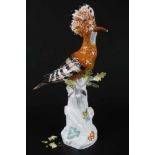 Meissen Wiedehopf Vogelfigur, bird figure hoopoe,Porzellan Vogelfigur, H 33 cm x B 17 cm x T 17