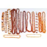 13 Bernsteinketten Amber, necklaces,