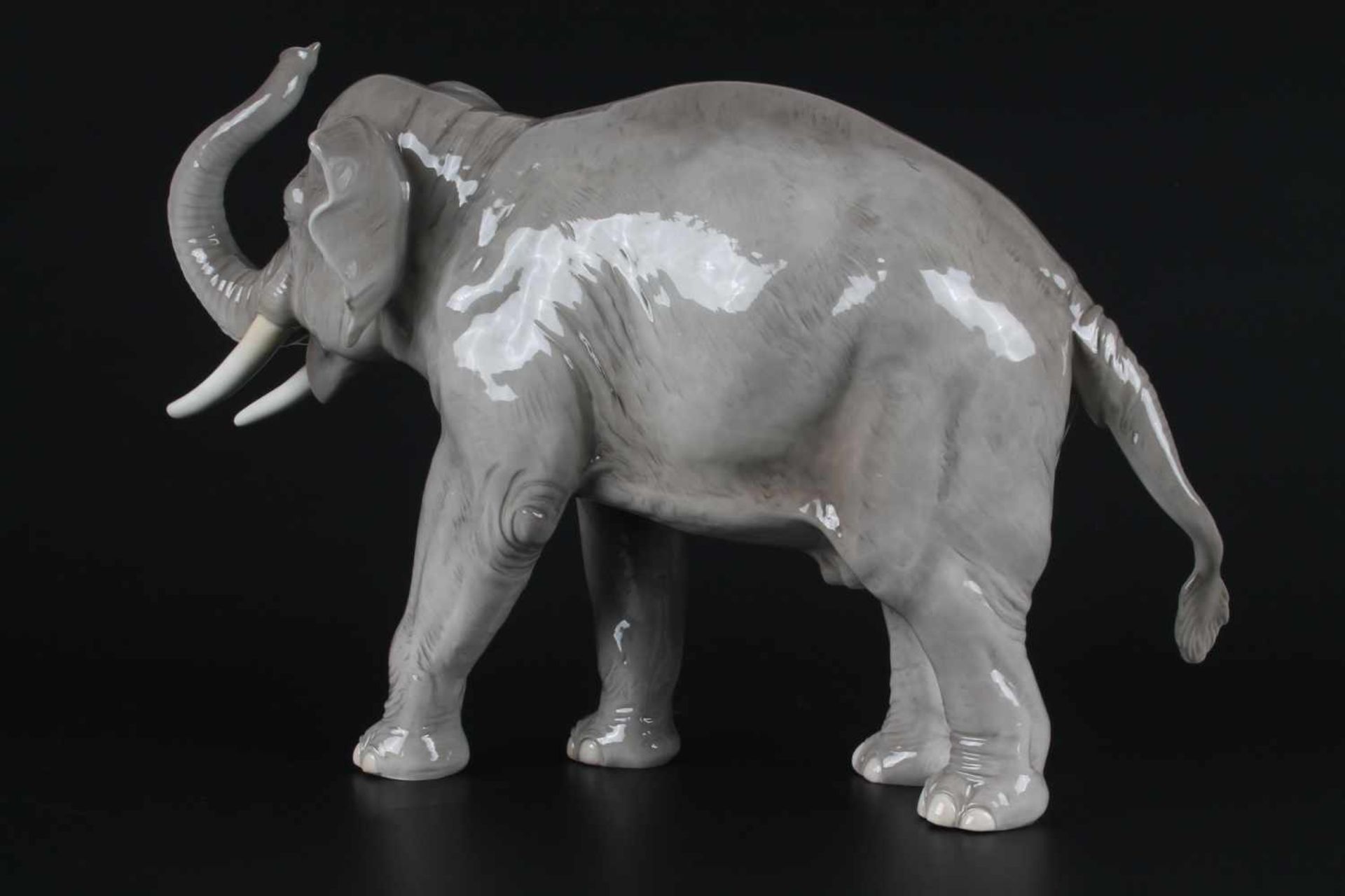 Nymphenburg Elefant August Göhring (1891-1965), porcelain elephant,Porzellan, naturalistisch - Image 3 of 6