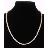 Perlenkette mit 585 Goldverschluß, pearl necklace gold lock,