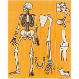 Advertising Poster Skeleton Bones Science Education