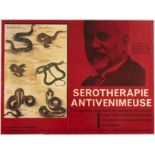 Original Advertising Poster Serotherapie Snake Venom Albert Calmette