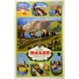 Original Travel Poster Wales British Railways Kitson Towler