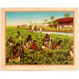 Original Advertising Poster Sudan Cotton Field Africa