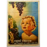 Advertising Poster Grapevine Italian Wine Grapes Italy