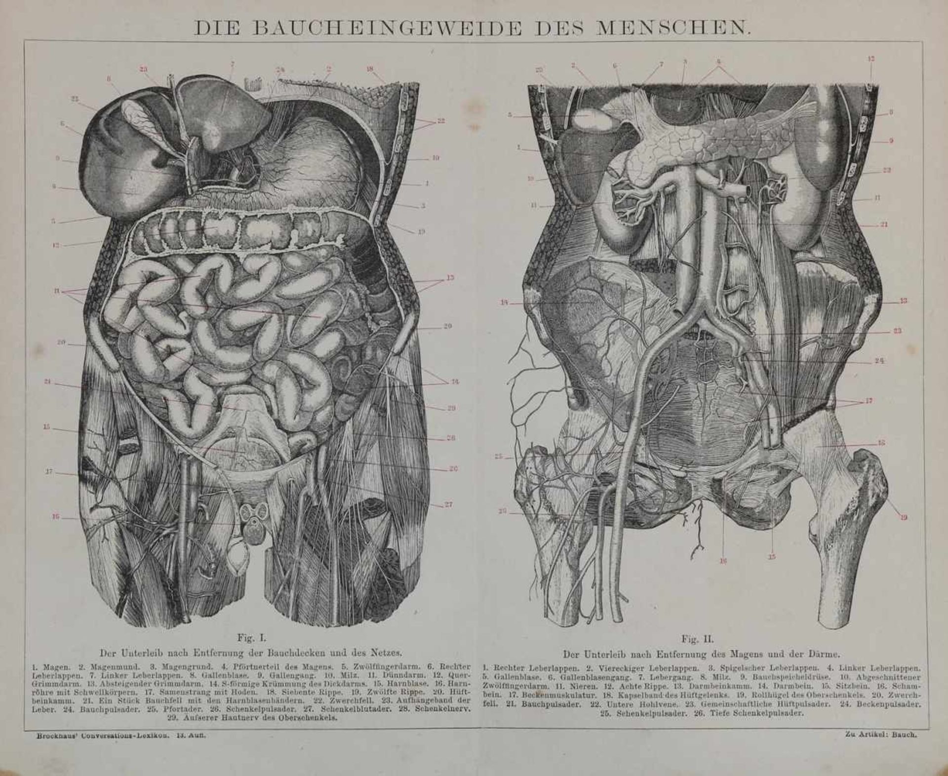 Brockhaus. - Bild 4 aus 13