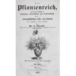 Schenckel,J.Das Pflanzenreich mit besonderer Rücksicht auf Insectologie, Gewerbskunde und Landw