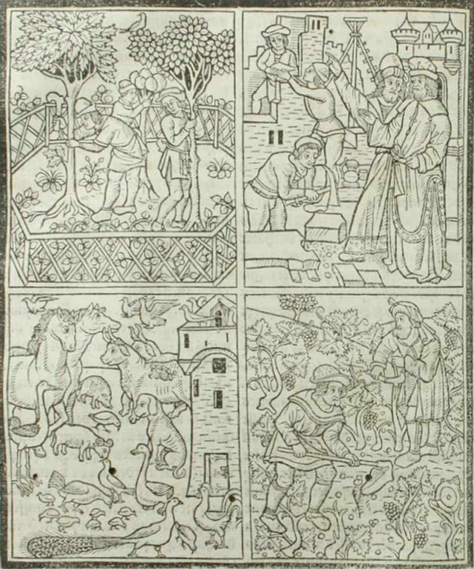 Crescentiis,P.de.Livre des Prouffitz Champestres et Ruraulx. Paris, Guernier für Huguetan (ca. - Bild 2 aus 4