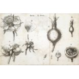 Guillemeau,(J.L.M.).Histoire naturelle de la Rose... Paris, Vatar-Jouannet 1800. Mit 1 gefalt.