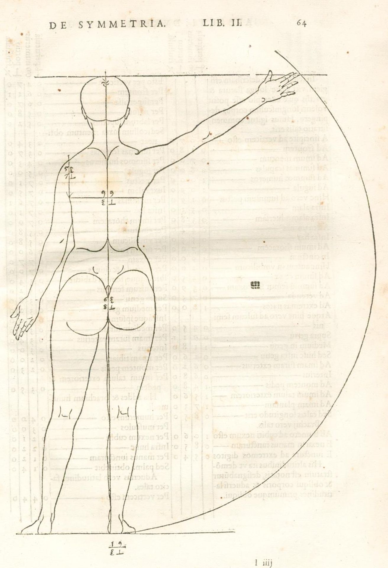 Dürer,A.De symmetria partium humanorum corporum libri quattuor, e Germanica lingua, in Latinam - Bild 4 aus 5