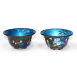 Cloisonne Bowls, Paar.China 19.Jhdt. Runde Schälchen mit transluzidblauer Emaille. Außenwandungen
