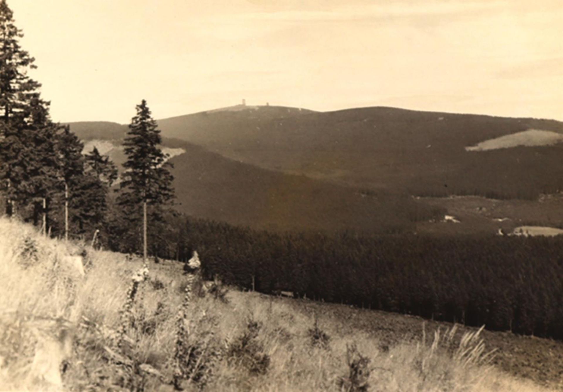 Rudolphi, Hans.Sammlung von 14 Photographien, Gelatinesilberabzüge, um 1920. Versch. Formate. Auf