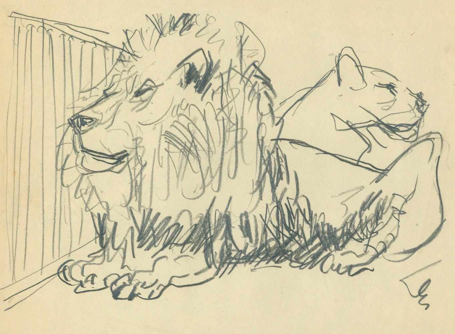 Dolbin,B.F.36 Bl. mit Darstellungen von Tieren, davon 20 Bl. Vorzeichnungen von Illustrationen für - Bild 2 aus 2