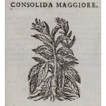 Durante,C.Herbario nuovo. Venedig, Hertz 1684. Fol. Mit gest. Titelvign. u. 907 Textholzschn. 6 Bl.,