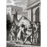 Le Bailly,A.F.Fables... Paris, Chaumerot 1811. Mit gest. Tit. u. 10 gest. Taf. XIV, 248 S. Ldr. d.