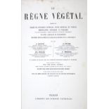 Dupuis,A.Le regne vegetal. 16 Bde. (8 Text-, 8 Tafelbde.). Paris, Morgand (1864-71). Kl.4°. Mit