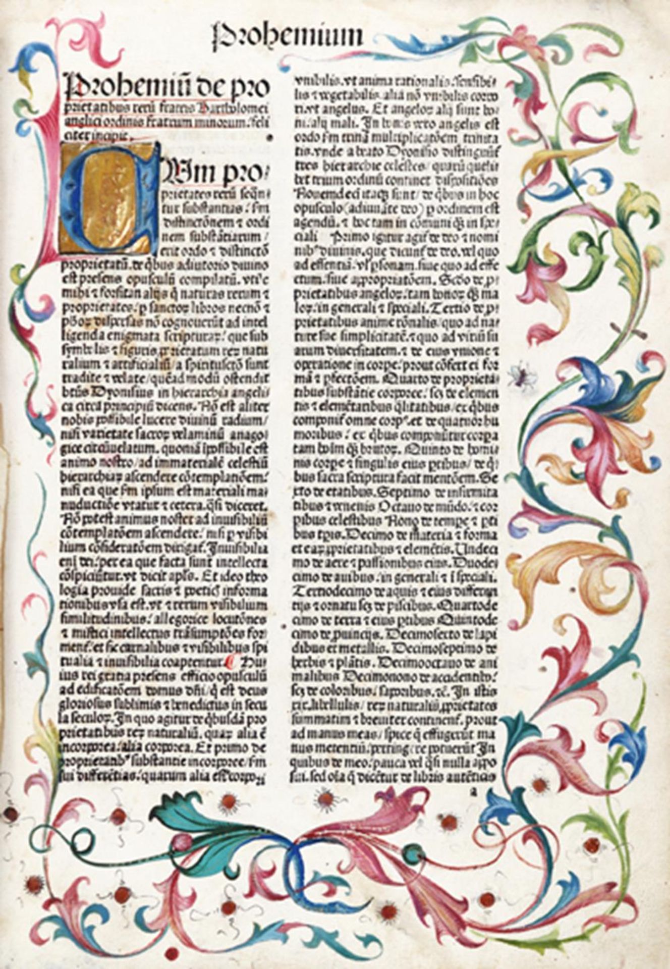 Bartholomaeus Anglicus.Bartholomaeus Anglicus. De proprietatibus rerum. (Heidelberg, HeBart