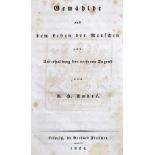 Andre,K.G. (d.i. J.H.Meynier).Andre,K.G. (d.i. J.H.Meynier). Gemählde aus dem Leben deAndr