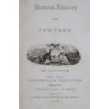 Mather,W.W. u.a.Mather,W.W. u.a. Geology of New York. 4 Bde. Albany, Carroll &amp; CookMath