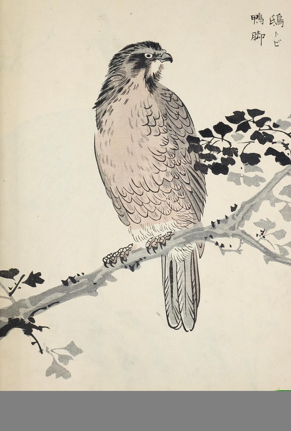 Bairei,K.Bairei,K. Bairei hyokucho gafu zokuhen (Hundert Vögel von Bairei). Yorozuya MBair