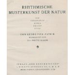 Piek-Patrik,G.Piek-Patrik,G. Rhythmische Musterkunst der Natur. Die Grundzüge eines nePiek