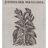 Durante,C.Durante,C. Herbario nuovo. Venedig, Hertz 1684. Fol. Mit gest. Titelvign. u.Duran