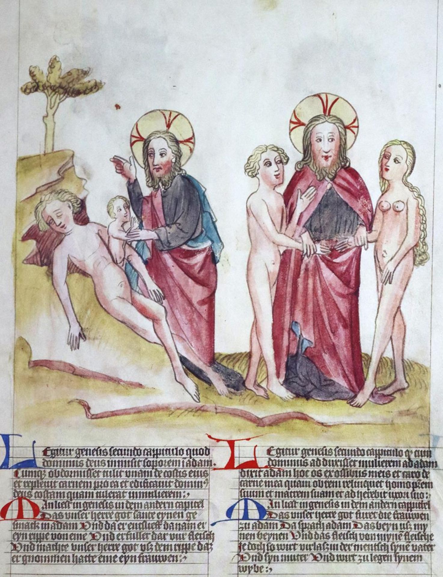 Biblia Pauperum, Die,Biblia Pauperum, Die, im Codex Palatinus Latinus 871 der BibliotheBibl