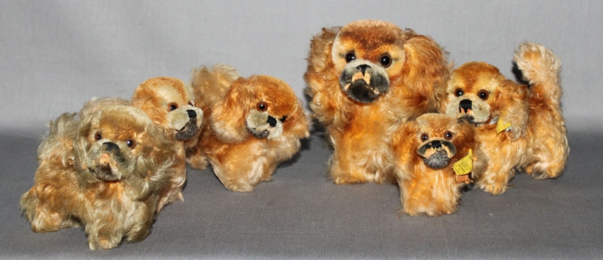 Kinderspielzeug. Steiff. Pekinese "Peky".