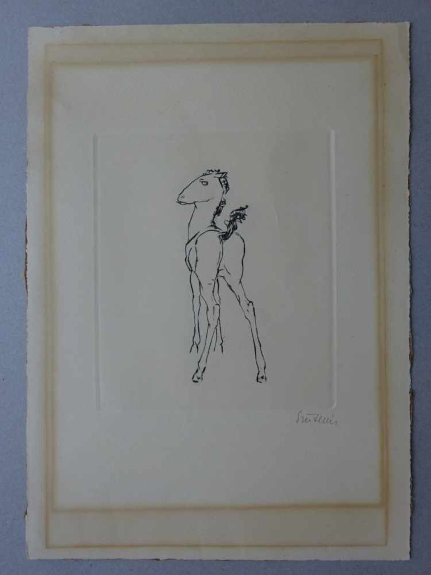 Sintenis, Renée(Glatz 1888 - 1965 Berlin). Junges Fohlen. Radierung. 1954. Signiert. Darstellung ca. - Bild 2 aus 4