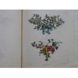 Fabeln.- Bachelier, (J.J.).Collection de cul de lampes et fleurons ... Tirée de la grand Édition