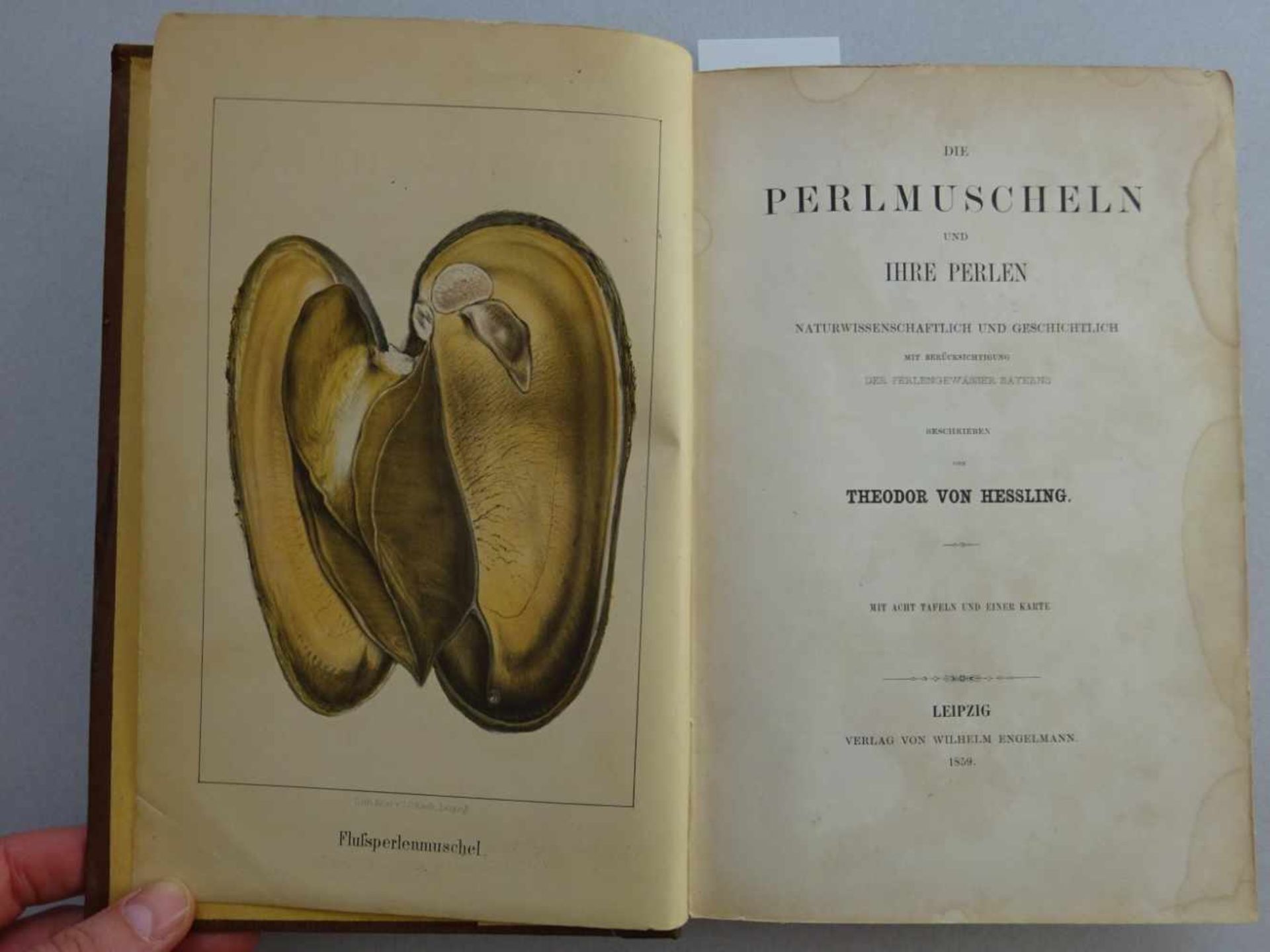 Hessling, Th. v.Die Perlmuscheln und ihre Perlen. Leipzig, Engelmann, 1859. VIII, 376 S. Mit 8 teils