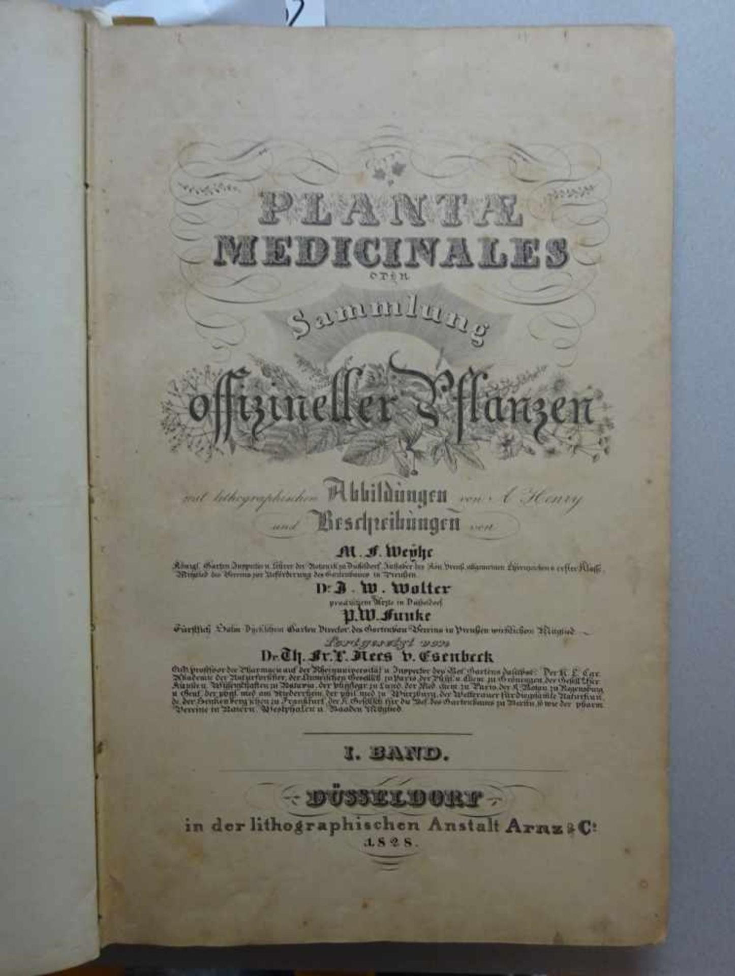 Nees von Esenbeck, T.F.L.Plantae officinales (medicinales) oder Sammlung offizieller Pflanzen. Text- - Image 4 of 10