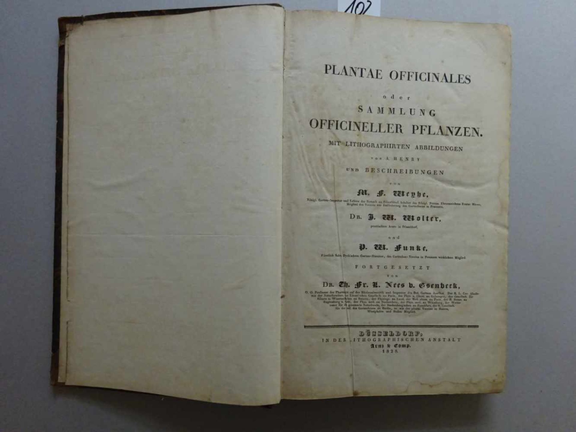 Nees von Esenbeck, T.F.L.Plantae officinales (medicinales) oder Sammlung offizieller Pflanzen. Text- - Image 2 of 10