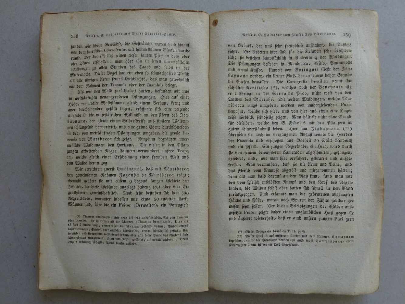 Amerika.- Wied-Neuwied, Maximilian Prinz zu.Reise nach Brasilien in den Jahren 1815 bis 1817. 2 Bde. - Image 2 of 4