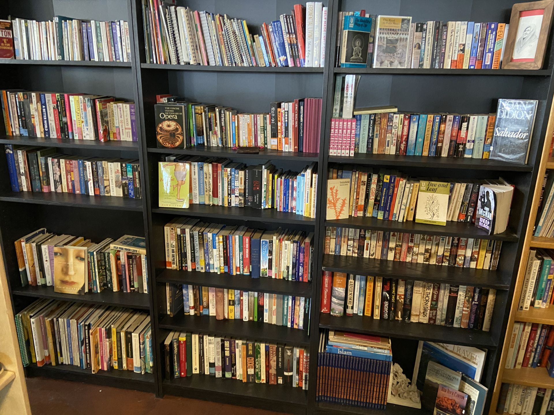 Lot of Books, three large shelves worth